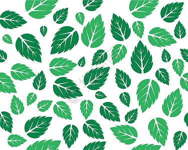 薄荷鲜叶矢量模板纺织品艺术绘画草药插图食物墨水花园植物墙纸图片
