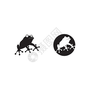 青蛙标志模板 vecto野生动物艺术热带动物学蝌蚪白色动物卡通片绿色两栖图片