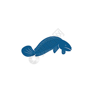 标志设计概念模板标识动物鳟鱼低音网络餐厅艺术鲣鱼鲶鱼食物图片