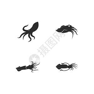 鱿鱼标志矢量模板动物美味野生动物触手海洋海鲜标识食物怪物艺术图片