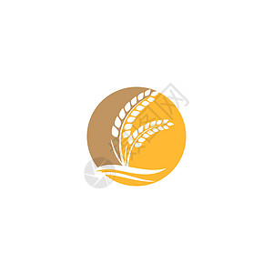 小麦 Logo 模板矢量符号农场耳朵生长营养植物标识食物谷物面包收成背景图片