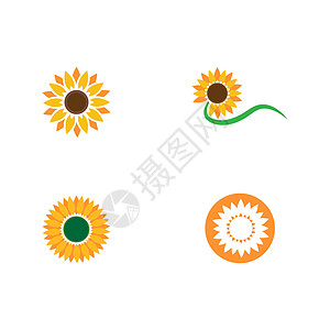 设置太阳花徽标模板艺术植物太阳白色标识黄色向日葵插图绿色花瓣背景图片
