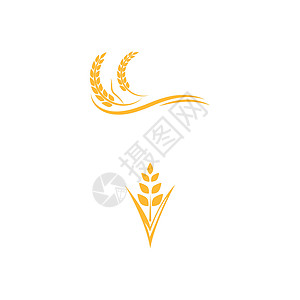 小麦 Logo 模板矢量符号生长谷物植物食物收成粮食营养农场农业面包背景图片
