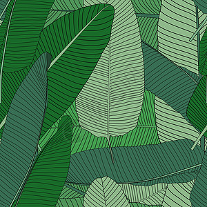 Beautifil 棕榈树叶剪影无缝图案背景矢量它制作图案热带插图雨林海滩旅行地平线衬套框架动画片岛屿背景图片