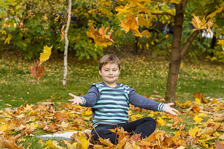 秋天的心情 男孩扔黄色的枫叶 一个孩子在黄色树叶中的秋天画像 视线 一个可爱 体贴的男孩朋友们孩子们外貌童年季节游戏男生空气森林图片