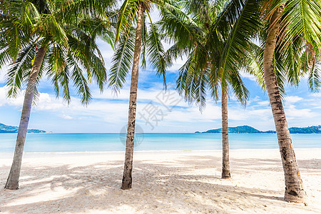 泰国普吉巴东海滩海岸线阳光旅行棕榈旅游海洋海岸假期太阳情调图片