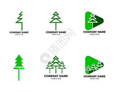 一套松树标志设计模板树木徽章生态标签爬坡植物园林插图木头花园图片