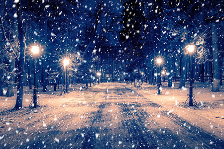 冬季公园的雪花在夜间 圣诞节装饰 灯光和人行道都布满了雪调子长椅冻结胡同圣诞城市公共公园灯笼降雪季节图片