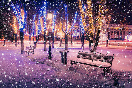 冬季夜间公园下雪 有圣诞节装饰品 灯光 铺满雪和树木的行人道小路天气场景胡同降雪路灯公共公园圣诞装饰城市图片