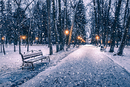 冬季公园的雪花在夜间 圣诞节装饰 灯光和人行道都布满了雪天气降雪路灯场景雪景城市彩灯调子圣诞季节图片