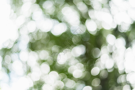 散景照明背景概念白色季节艺术阳光绿色背景图片