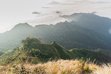 迷雾和云雾山山谷地貌林地农村风景薄雾公园热带森林丛林美丽顶峰图片