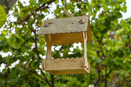 树木模糊背景的木鸟喂食器季节材料公园背景图片