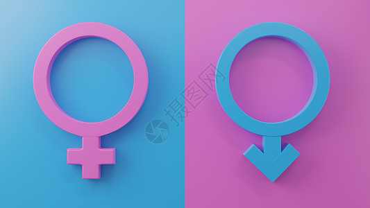 男性和女性头像的性别符号婚姻团体性欲女士伙伴夫妻男人蓝色友谊插图图片