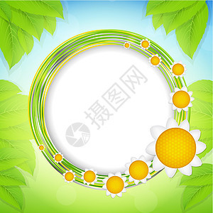夏季抽象背景 矢量插图生态柔软度框架圆圈活力环境绿色草地季节阳光图片