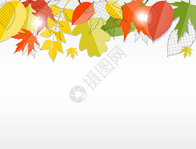 闪亮的秋天自然树叶背景 它制作图案矢量叶子框架艺术感恩橙子绘画亮度圆圈金子活动图片