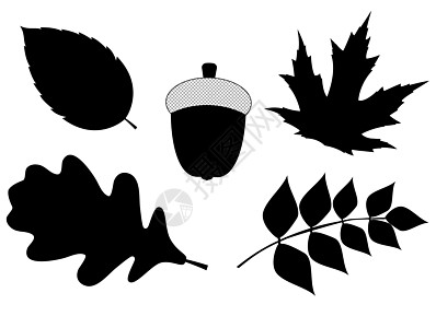 橡子与叶子矢量剪影它制作图案植物松树树木艺术衬套锥体坚果季节橡木剪裁图片