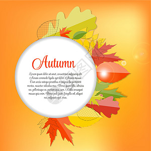闪亮的秋天自然树叶背景 它制作图案矢量植物活动艺术亮度感恩魔法金子橙子叶子圆圈图片