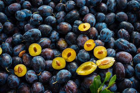 新鲜蓝李子作为水果图象的纹理背景植物紫色李子食物蓝梅素食主义者营养图片
