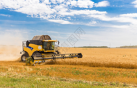 合并组合收成生产场地农业机械农村收获谷物食物面粉图片