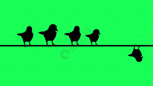 3d 插图坐在电线上的麻雀剪影绿色屏幕男性小鹅动物群动物家禽跑步飞行生物野生动物房子图片