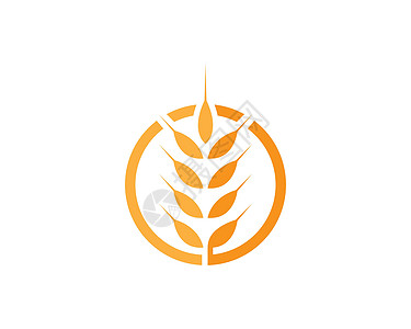 小麦标志模板玉米生长收成食物营养标识插图农业面包耳朵图片