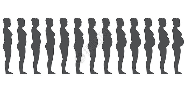 设置怀孕女性的剪影 怀孕期间女性身体的变化图片