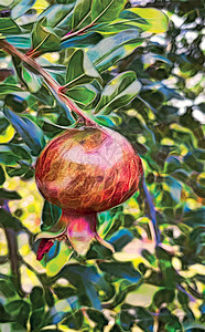 分形艺术 天然绿叶果石榴树饮食异国甜点情调树叶农业果汁水果团体营养图片