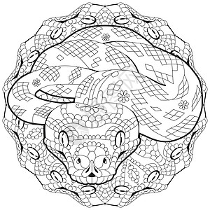 Zentangle 蛇与曼荼罗 着色素的手绘装饰矢量图涂鸦十二生肖插图爬行动物蛇蝎纪念品店铺绘画成人收藏图片