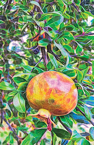 分形艺术 天然绿叶果石榴树季节果汁热带树叶花园农业食物叶子甜点饮食图片