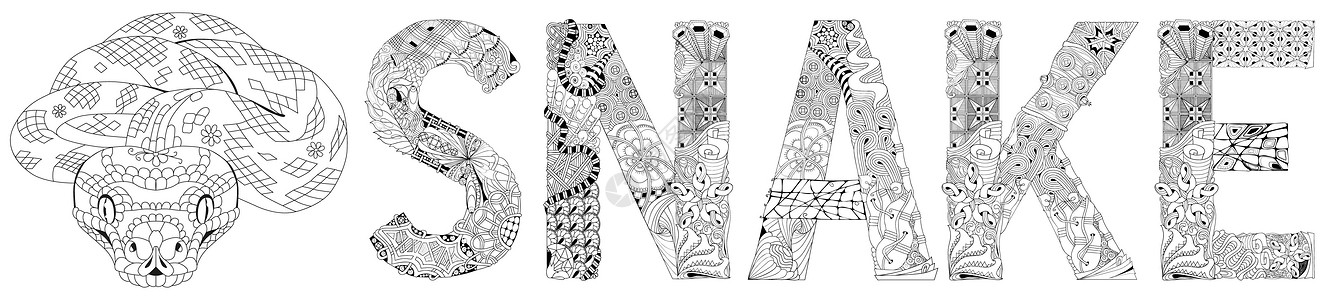 字蛇  colorin 的矢量 zentangle 对象纺织品动物爬行动物打印插图艺术装饰品织物成人涂鸦图片