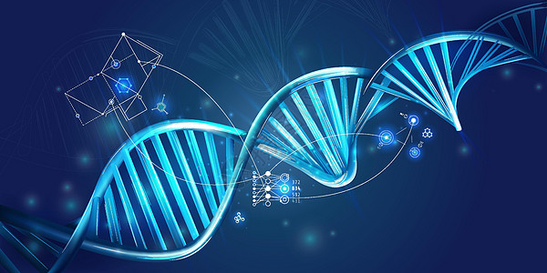 在深蓝色背景上呈现出DNA螺旋和HUD元素生物插图染色体显示器保健卫生遗传技术蓝色测试图片