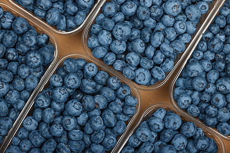 蓝莓地封闭容器中新鲜的蓝莓纸板水果塑料农民纸盒市场销售食物季节收成背景