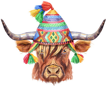 chullo ha 棕色长角公牛的水彩插图图片