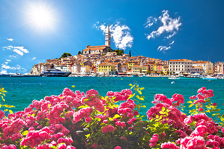 玫瑰海岸Rovinj 美丽的历史性城镇Rovinj欢乐的夏季风景背景