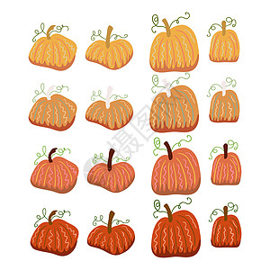 暖色调的秋季元素与南瓜 秋季的矢量设计涂鸦卡通片收获庆典收成卡片插图蔬菜手绘丰收图片