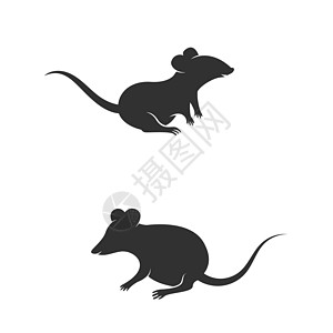 大鼠可爱矢量图标设计它制作图案插图十二生肖野生动物捕食者跑步运行荒野财富尾巴睡眠图片