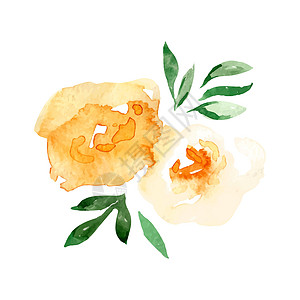 带叶黄玫瑰花的矢量插图集图片