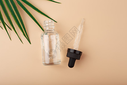 以棕榈叶为糊蜜蜂背景开放的皮肤血清瓶美容玻璃瓶子粉刺福利润肤叶子护理治疗温泉图片