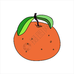 涂鸦风格的橙色或橘子的矢量图解数字手绘纺织品饮食插图设计生态徽标水果食物图片