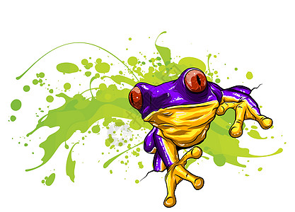 小青蛙 矢量图的一只可爱的小青蛙雨林涟漪卡通片野生动物树蛙两栖蝌蚪画像食肉大眼睛图片