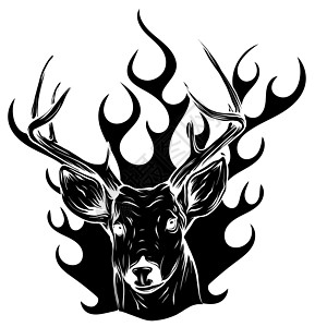 鹿素描矢量图形彩色头带角标识黑色喇叭荒野鹿角插图野生动物草图男性动物图片