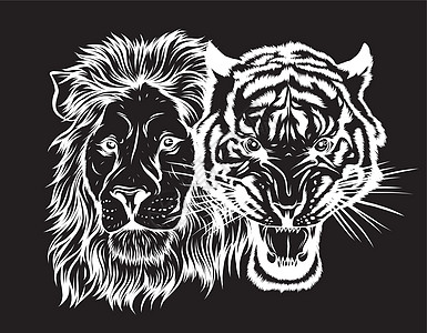黑色背景中狮子和老虎的组合面孔图片