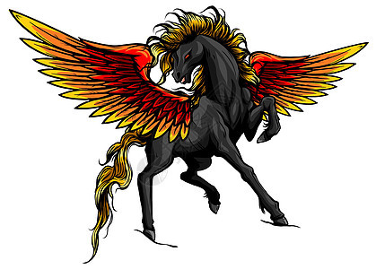 飞马座 神话中的马 Pegasus 用后腿直立的插图 矢量马术传奇动物尾巴翅膀饲养羽毛艺术鬃毛哺乳动物图片