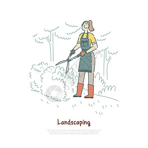 园丁修剪灌木妇女在后院切割树木灌木工人使用绿化景观设备旗帜图片