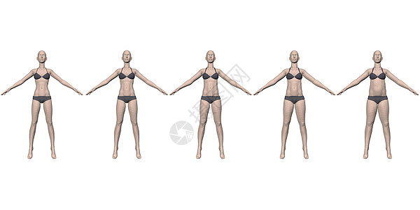 一组穿着内衣的模特女孩体重逐渐增加 从苗条到胖女孩  3D 它制作图案矢量图片