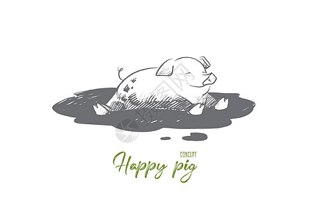 快乐猪的概念 手绘孤立的矢量喜悦哺乳动物微笑幸福水池水坑宠物动物草图插图图片
