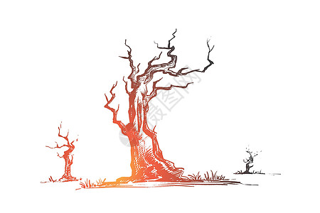 死树的概念 手绘孤立的矢量绘画生物木头铅笔灾难生态环境草图植物死亡图片