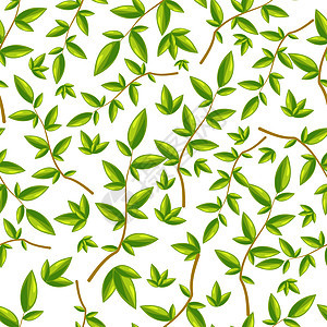 无缝模式与叶绿叶在白色背景上图片
