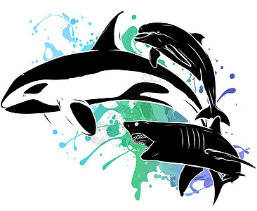 矢量剪影鲨鱼虎鲸和海豚高清图片